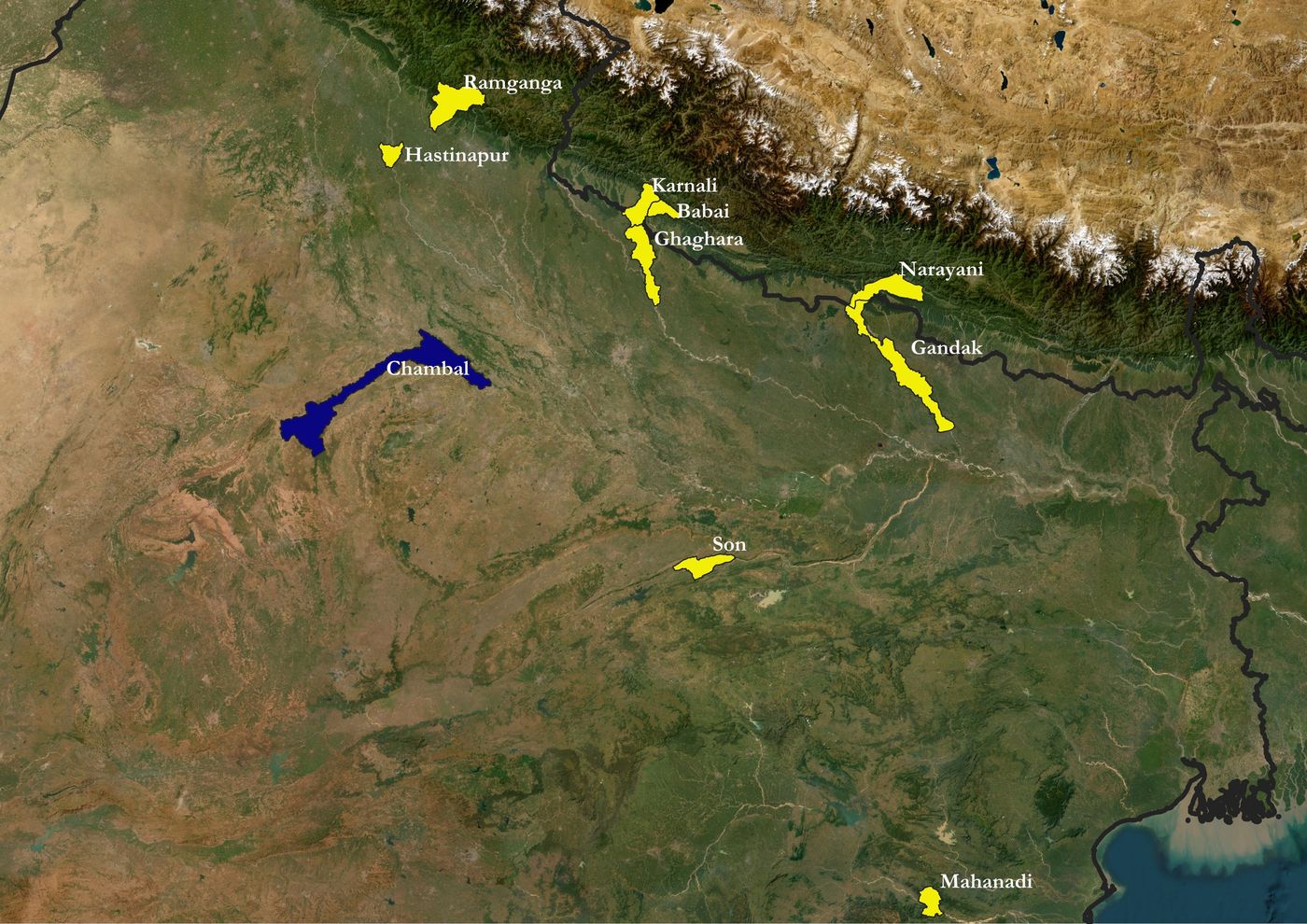 Today, after drastic declines in the number and range of gharials, the only self-sustaining population is in the Chambal River.