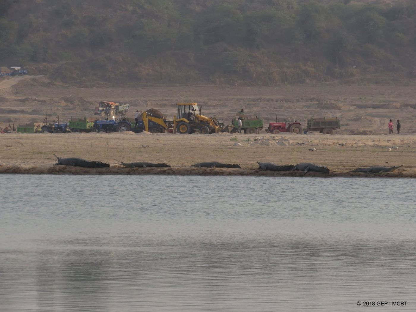 The Chambal Sandscape