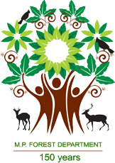 Madhya Pradesh Forest Department Madhya Pradesh Forest Department